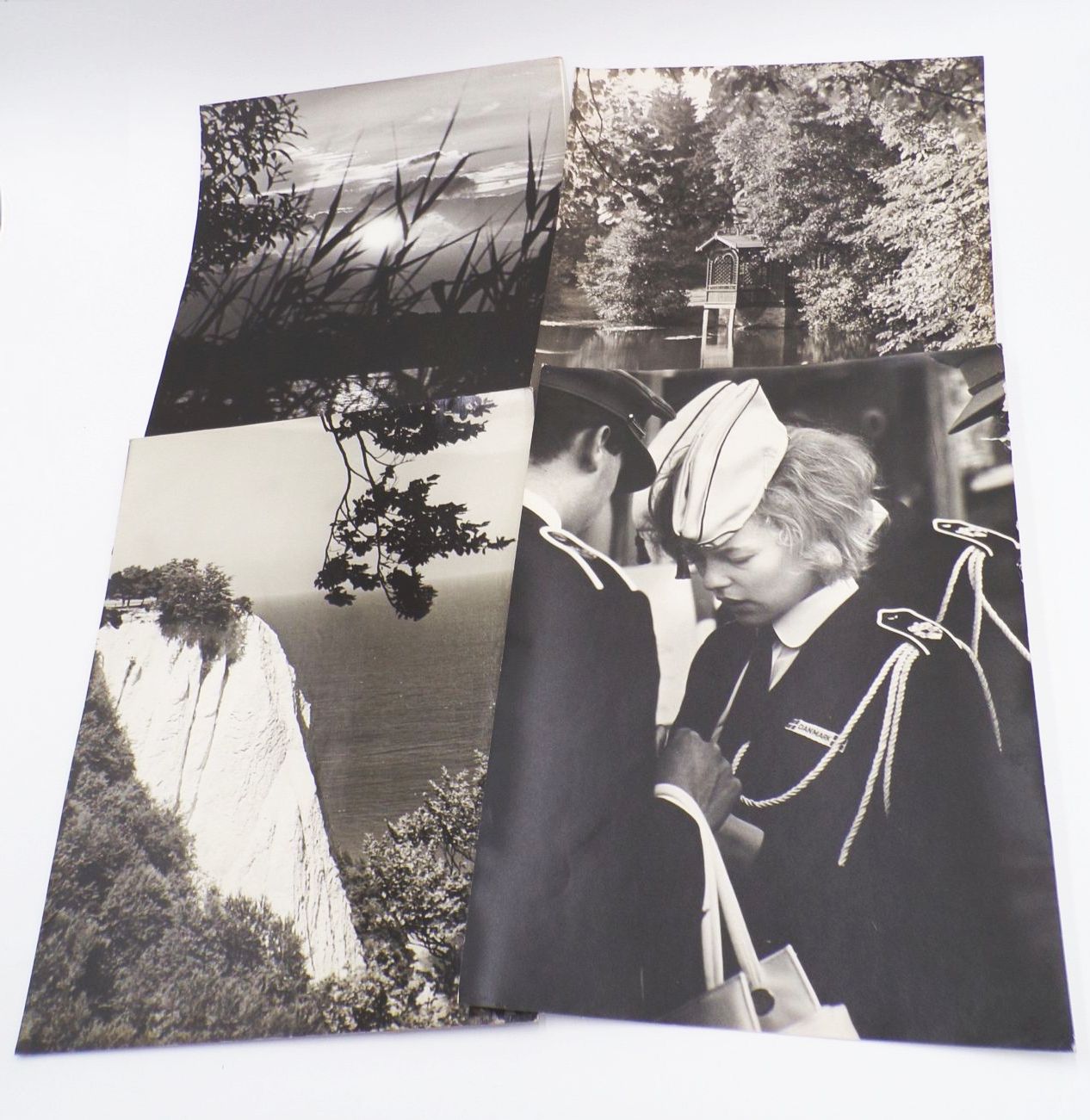 Konvolut Fotografien großformatig DDR Tiere Alltag Berufe Vintage Fotos Konvolut Fotografien großformatig DDR Tiere Alltag Berufe Vintage Fotos