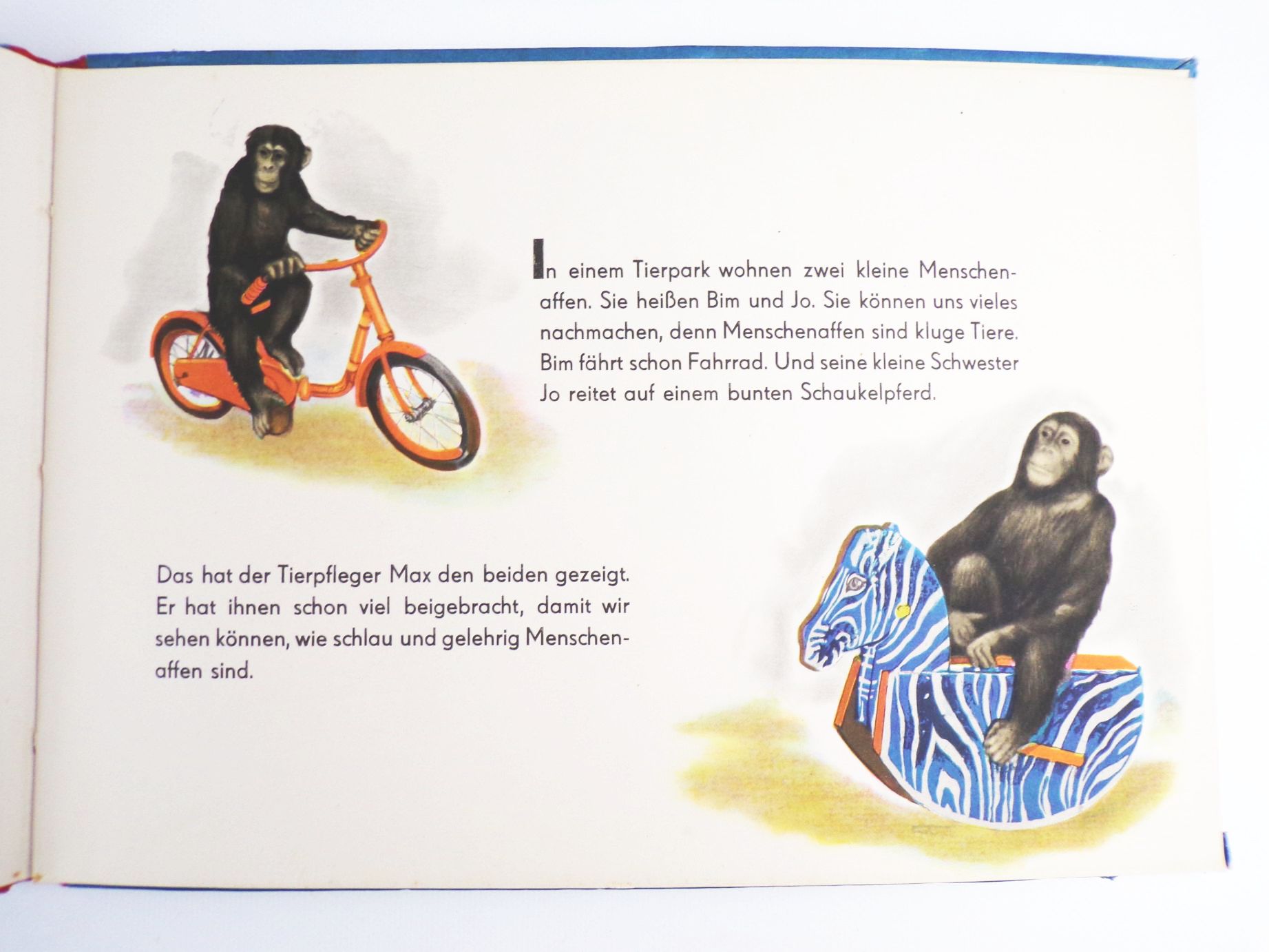 Bim und Jo Erlebnisse zweier Schimpansenkinder DDR Kinderbuch 