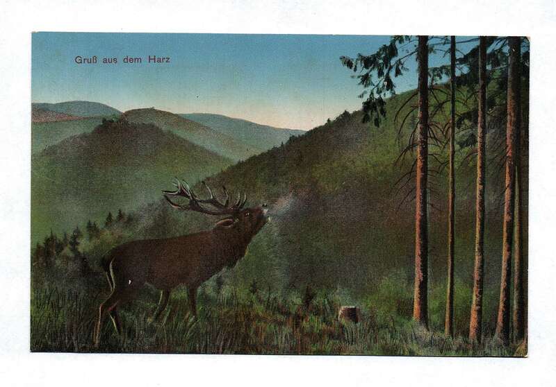 Ak Gruß aus dem Harz Elch Wald Natur Berge Postkarte