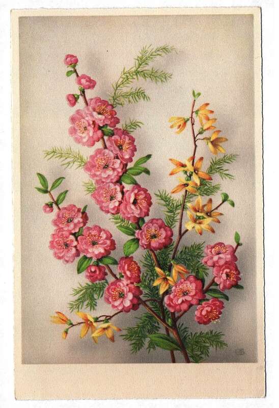 Postkarte Blumen blühen Motivkarte