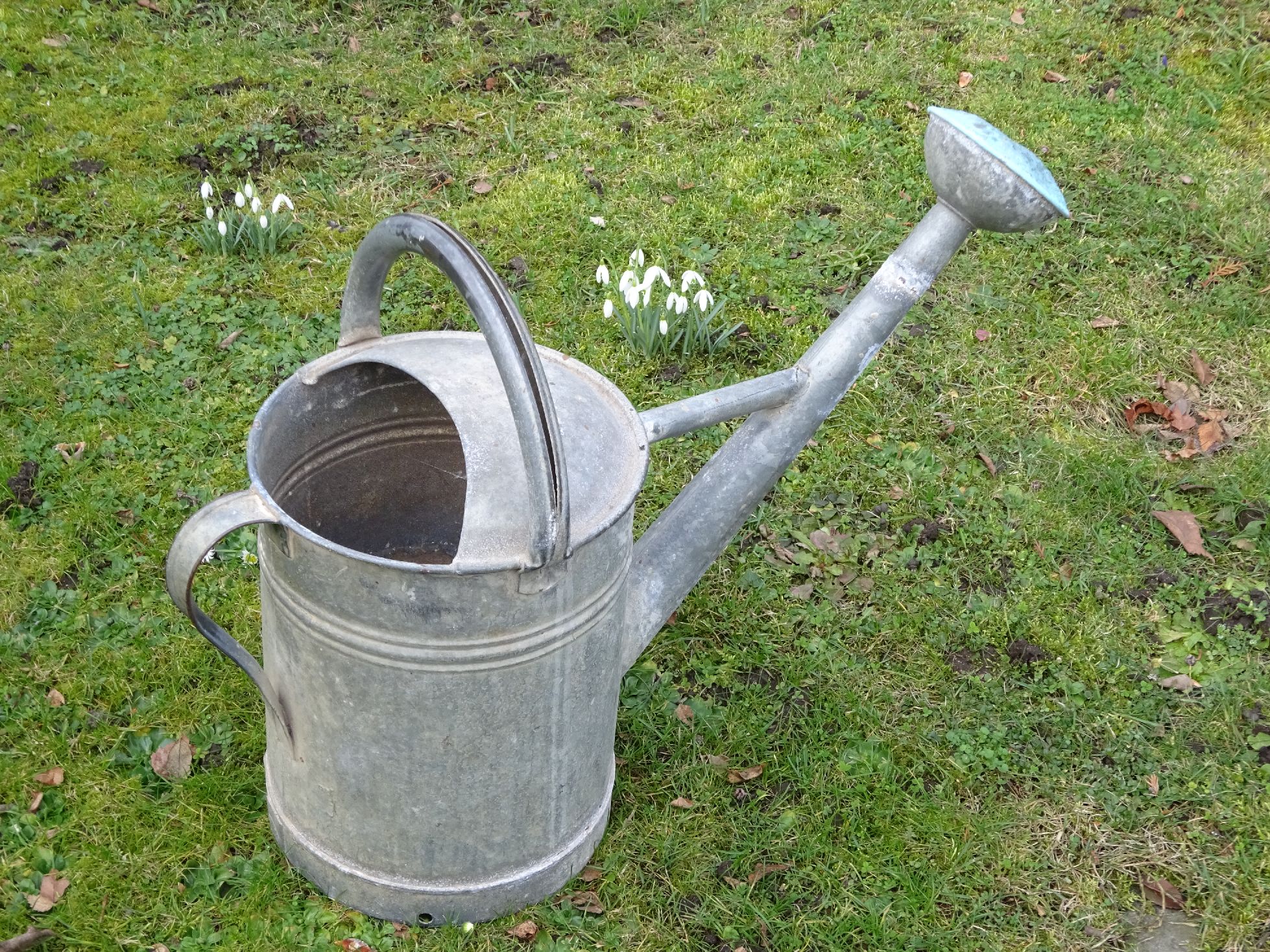 Alte Zinkgießkanne Bat Gießkanne 12 Liter Garten Gartendeko Alte Zinkgießkanne Bat Gießkanne 12 Liter Garten Gartendeko