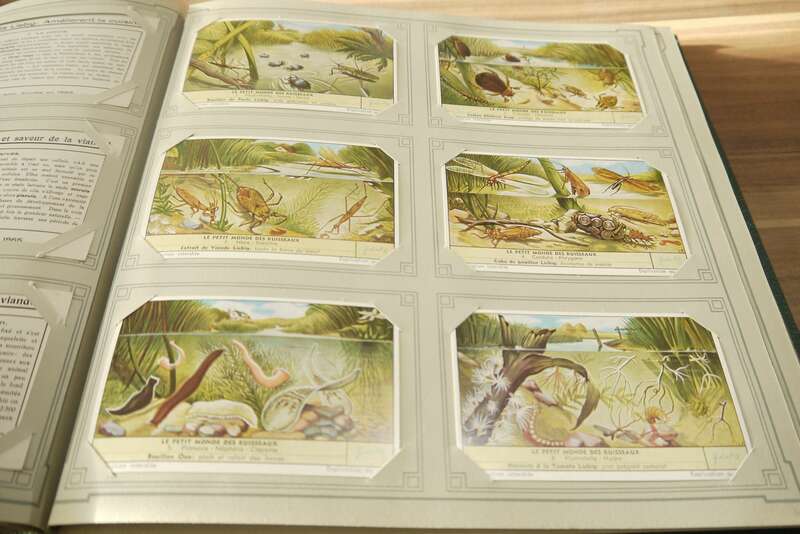 Liebig Sammelbilderalbung Chromo ca 48 Seiten 288 Sammelbilder