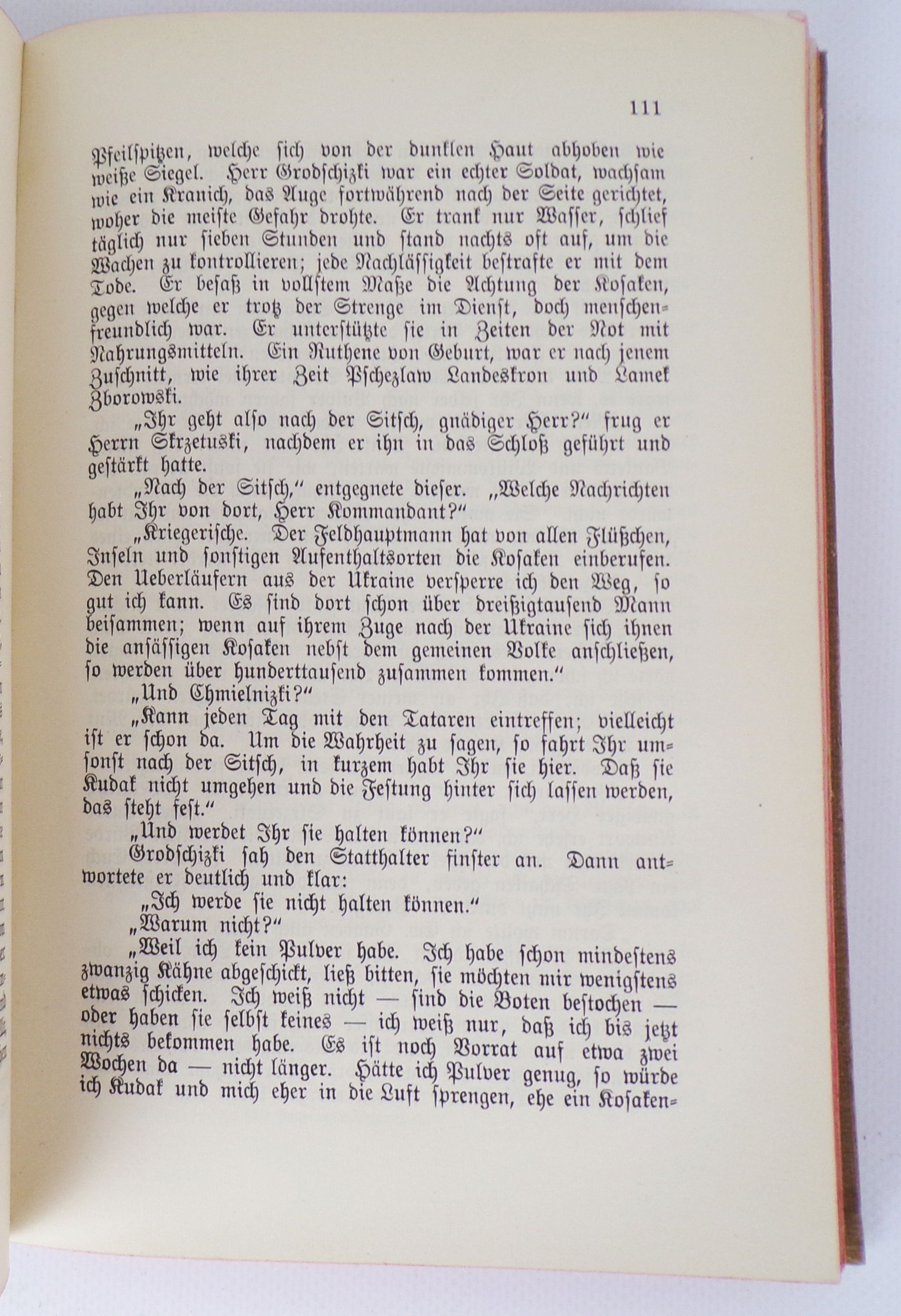 Mit Feuer und Schwert historischer Roman von Henryk Sienkiewicz 2 Bände Mit Feuer und Schwert historischer Roman von Henryk Sienkiewicz 2 Bände
