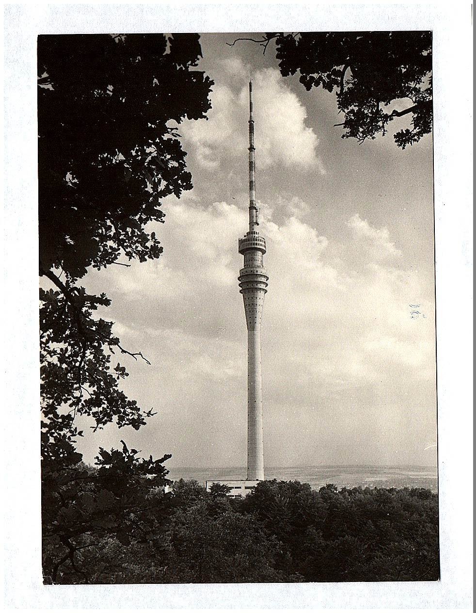 Ak Dresden Fernsehturm DDR Echt Foto Ak Dresden Fernsehturm DDR Echt Foto