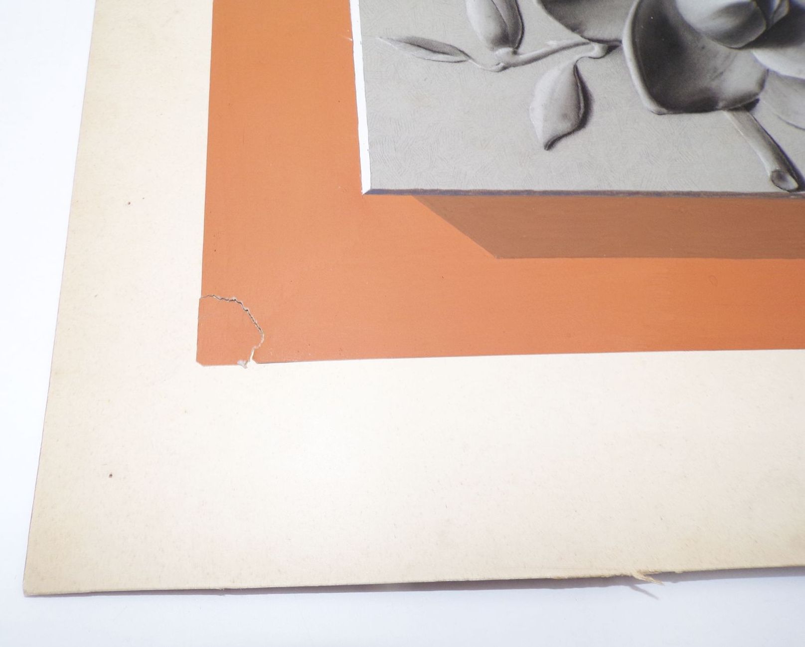 Alte Zeichnung Blumen Ornamentik 1898 Exner Rochlitz Dekorativ Alte Zeichnung Blumen Ornamentik 1898 Exner Rochlitz Dekorativ