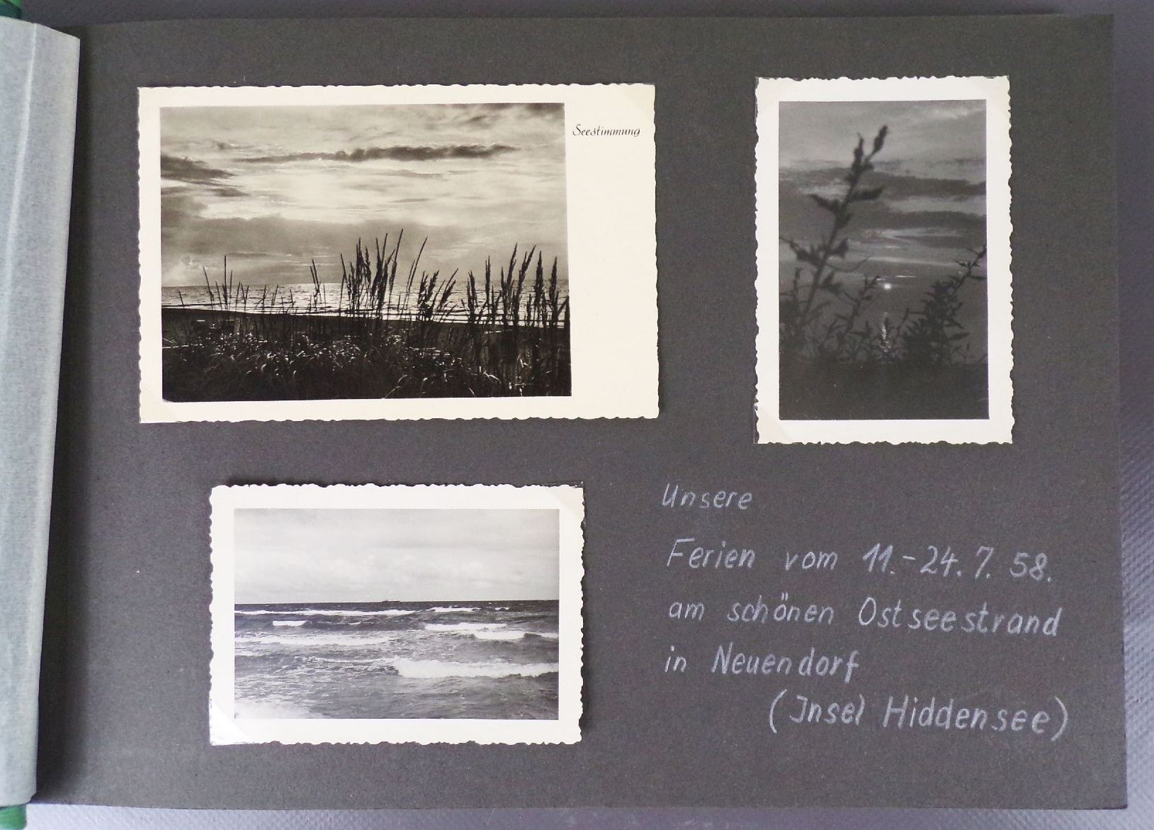 Fotoalbum Hiddensee Neuendorf Ostsee Urlaub 1958 Reitturnier Pirna Pferde Fotoalbum Hiddensee Neuendorf Ostsee Urlaub 1958 Reitturnier Pirna Pferde