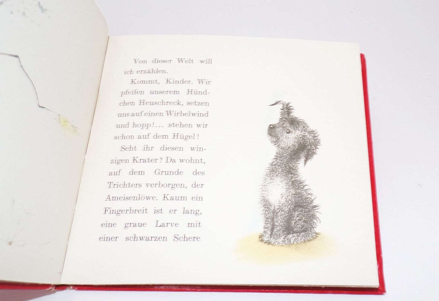 Ilona Richter Im Sandland Corvina Verlag 1960 DDR Kinderbuch