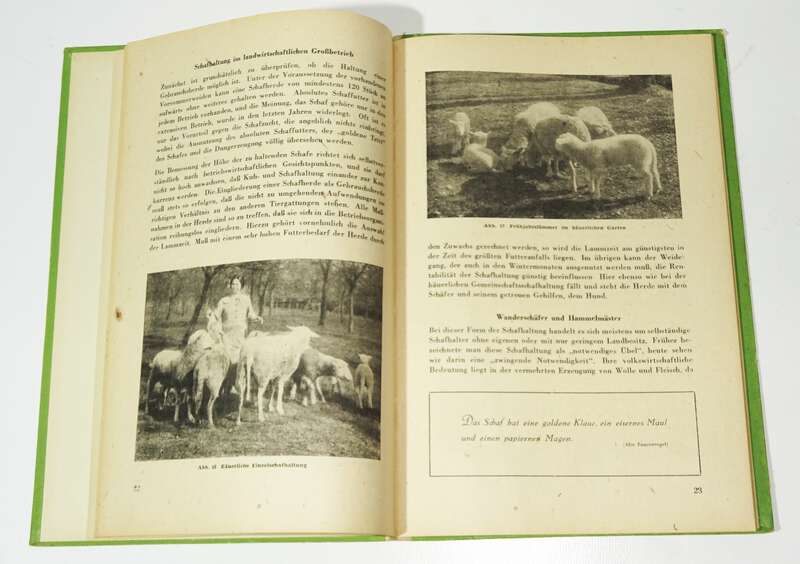 Schafzucht Schafe Haltung Pflege 2 alte Bücher 1949 1955 