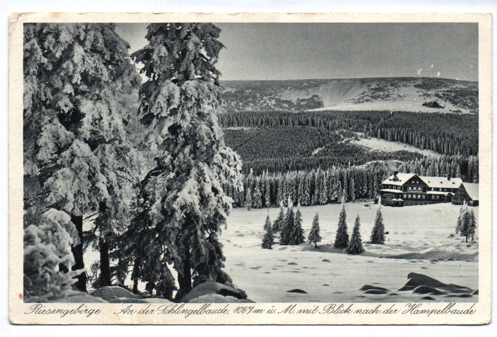 Ak Riesengebirge An der Schlingelbaude Hampelbaude 1938 Schlesien