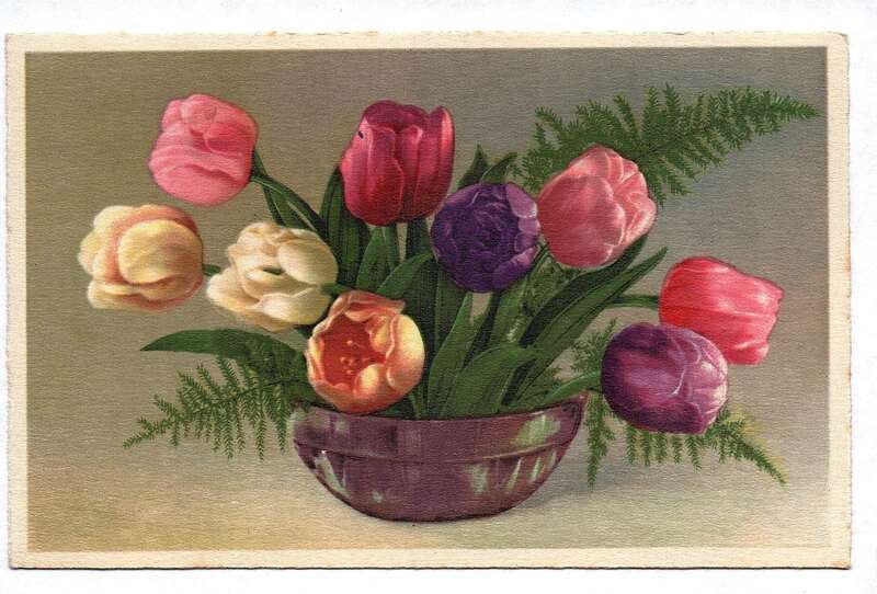 Ak Motivkarte bunte Tulpen Blumen alte Postkarte