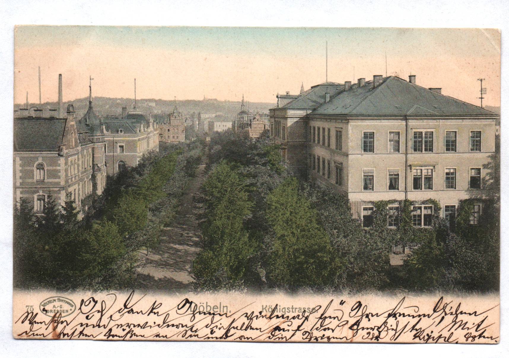 Litho Ak Döbeln Königstrasse 1903