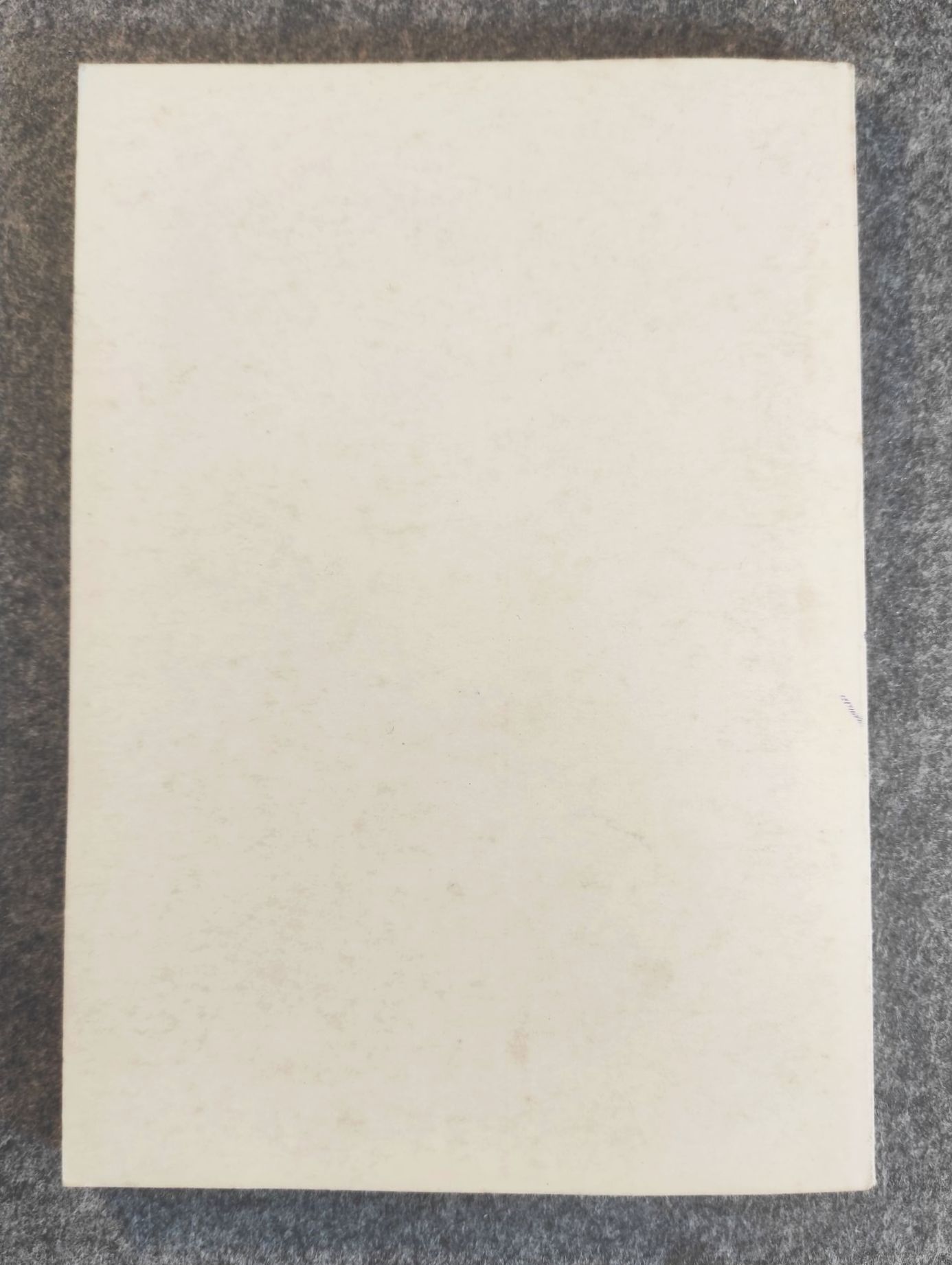 FDJ Vom X zum XI Parlament Junge Welt Berlin 1981 Broschüre FDJ Vom X zum XI Parlament Junge Welt Berlin 1981 Broschüre