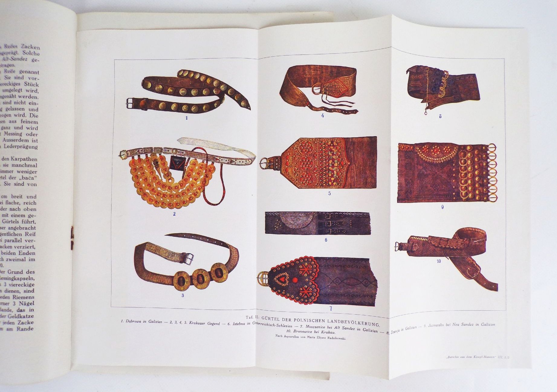 Berichte aus dem Knopf Museum Heinrich Waldes Prag Wrschowitz 1918 