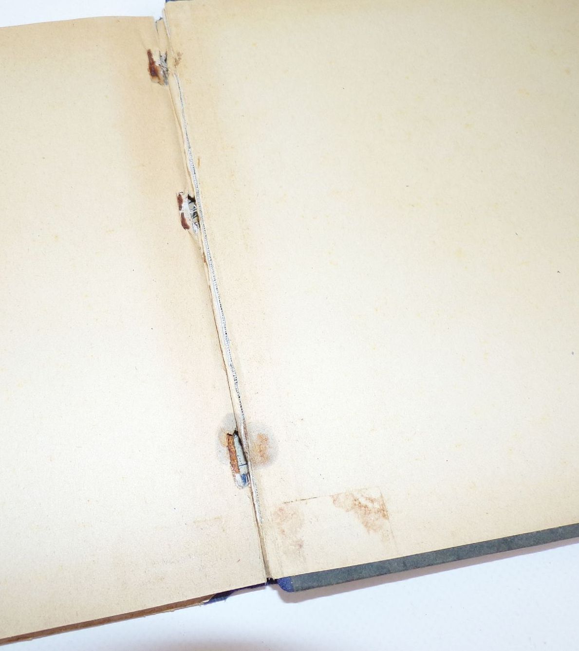 Im Katzenkränzchen Bilderbuch Arthur Thiele Albert Sixtus Katzen 1930er