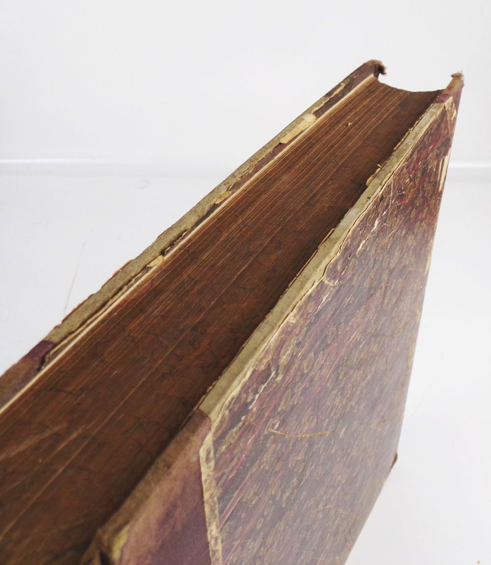 Kolonie und Heimat in Wort und Bild 1908 bis 1910