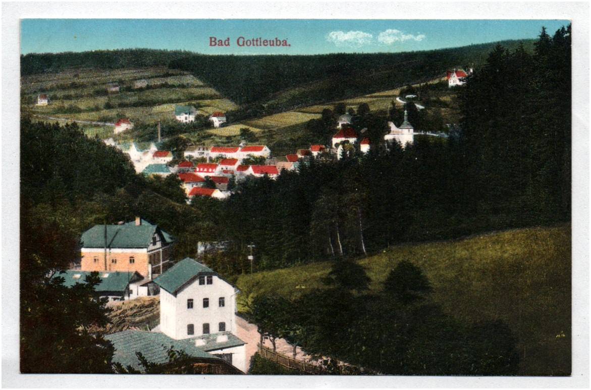 Ak Bad Gottleuba Sachsen um 1910