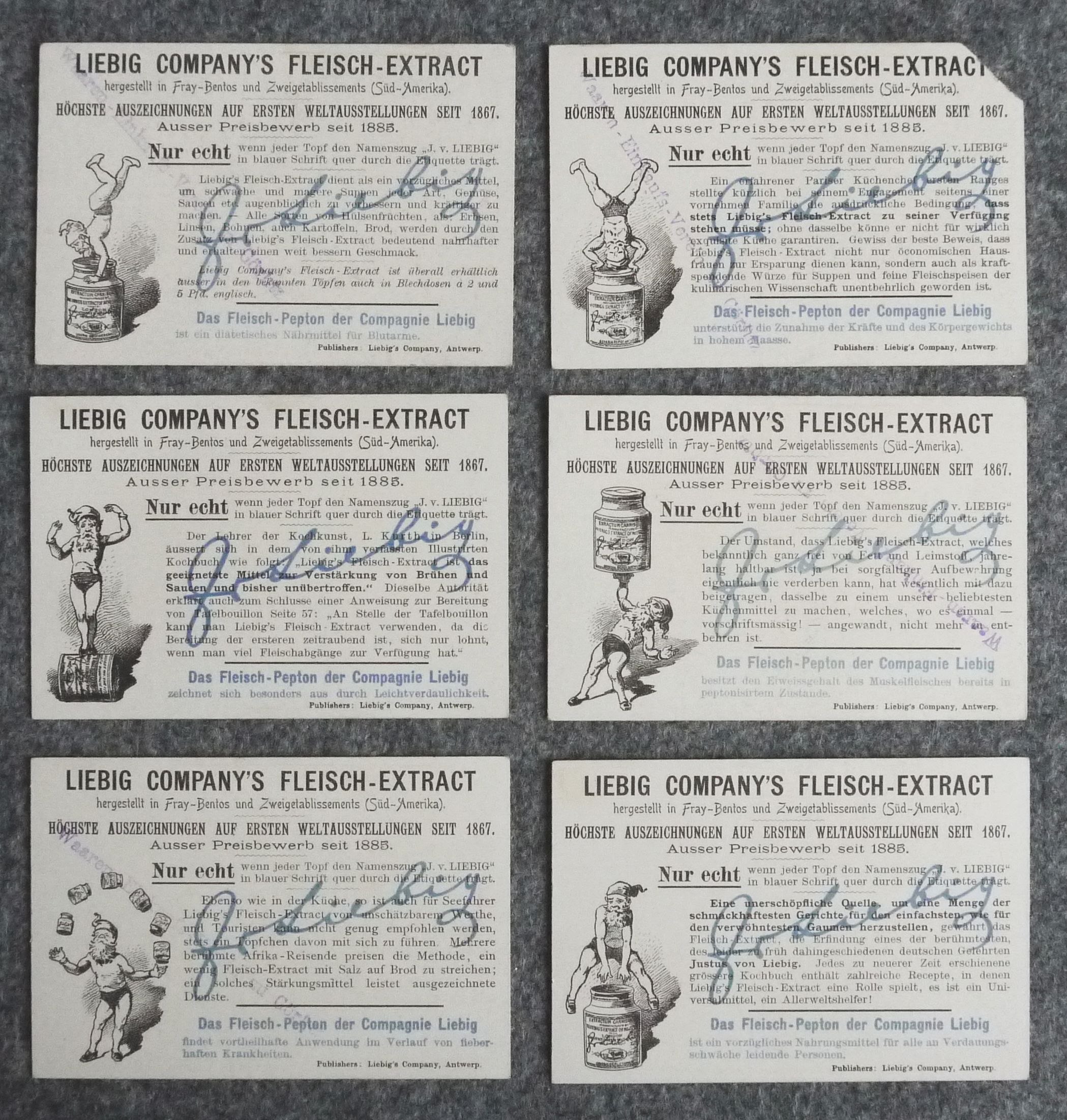 Liebig Bilder Serie Alpen Blumen 6 Sammelbilder