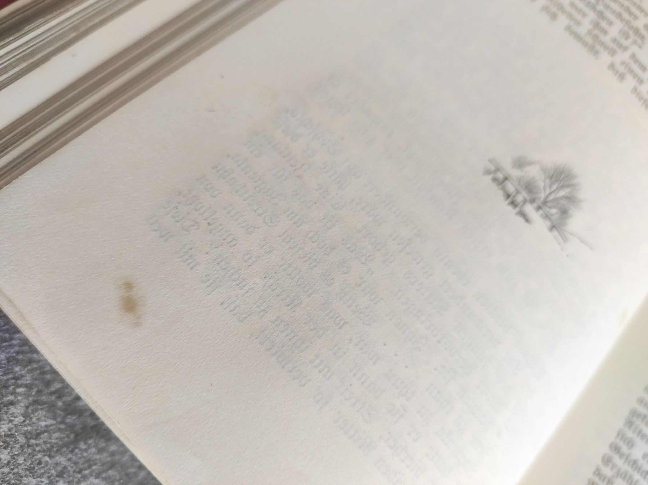 Die Kreuzritter Band I und II 1902 Historischer Roman Die Kreuzritter Band I und II 1902 Historischer Roman