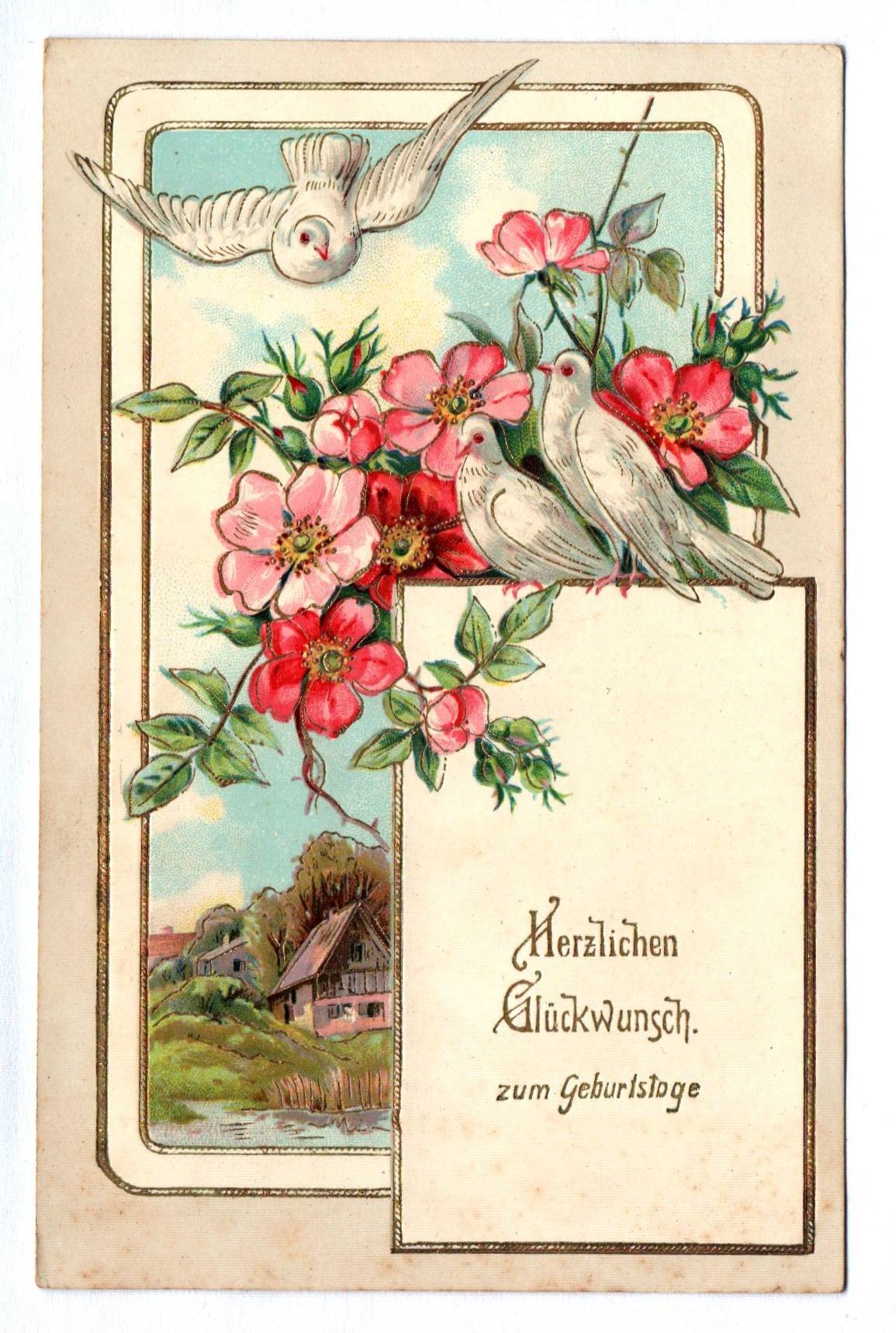 Künstler Ak Herzlichen Glückwunsch zum Geburtstage Tauben mit Blumen Künstler Ak Herzlichen Glückwunsch zum Geburtstage Tauben mit Blumen
