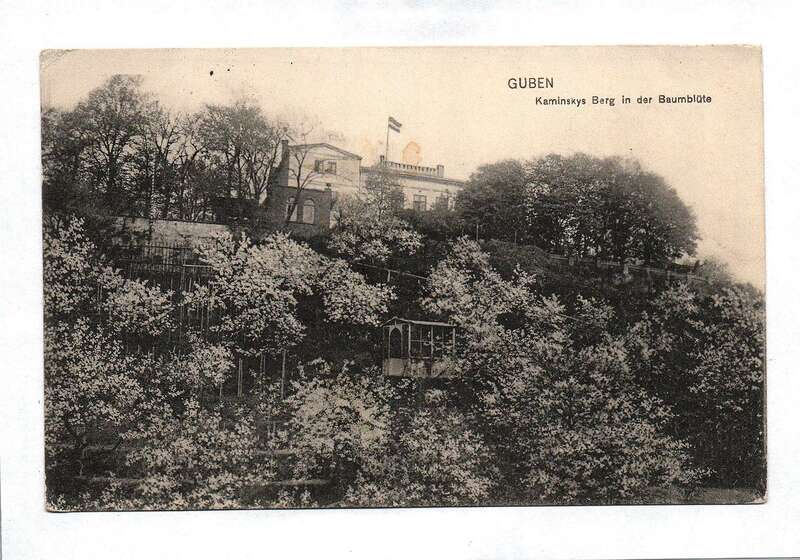 Ak Guben Kaminskys Berg in der Baumblüte  1916