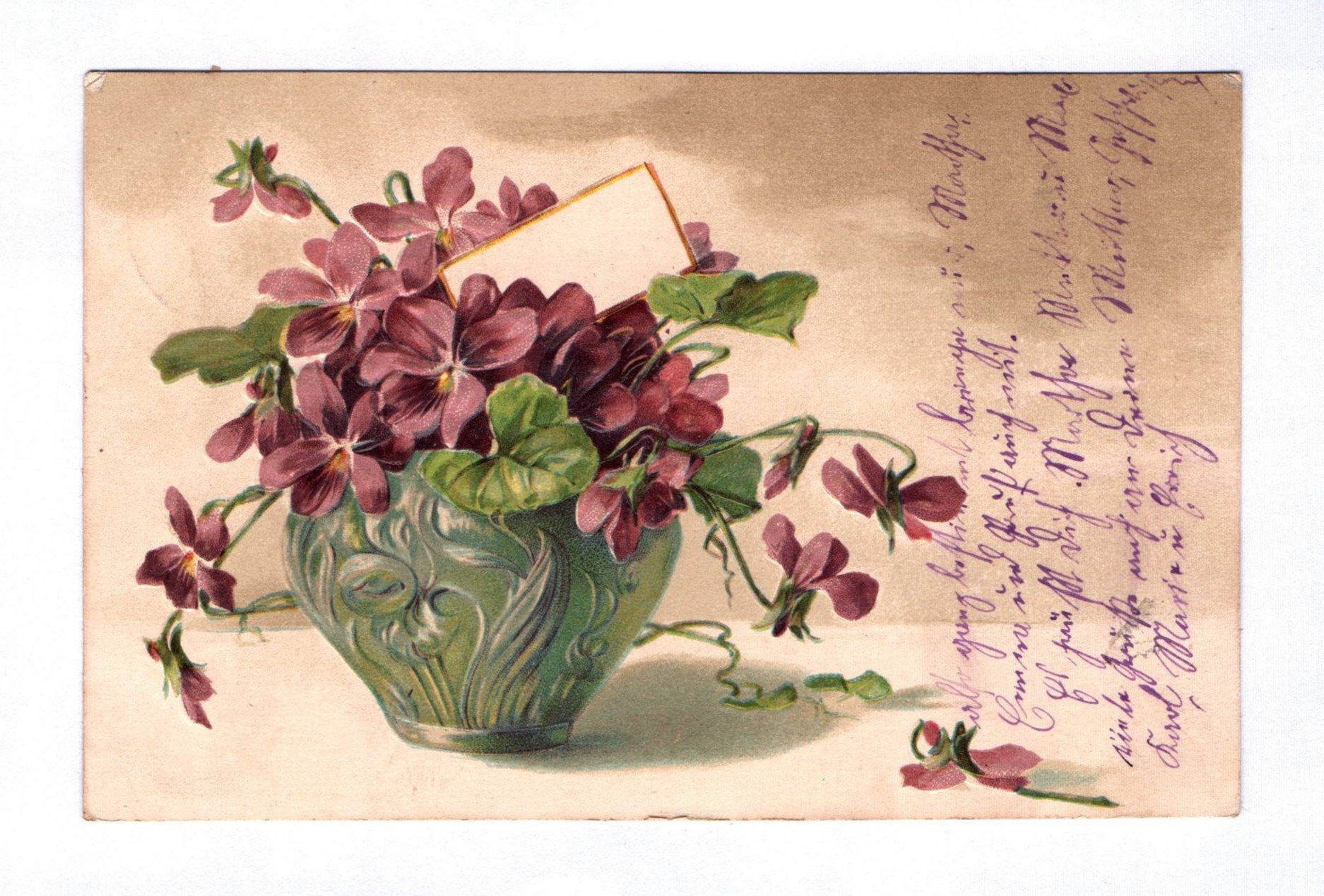 Künstler Ak Feilchen Blumen