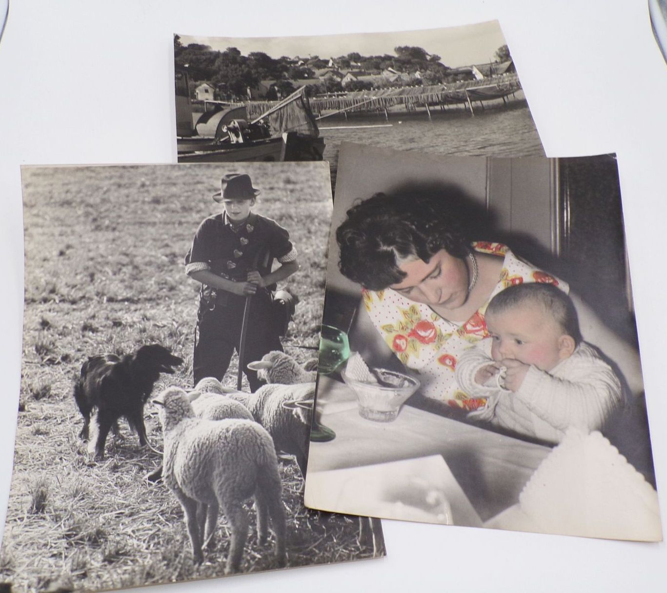 Konvolut Fotografien großformatig DDR Tiere Alltag Berufe Vintage Fotos Konvolut Fotografien großformatig DDR Tiere Alltag Berufe Vintage Fotos