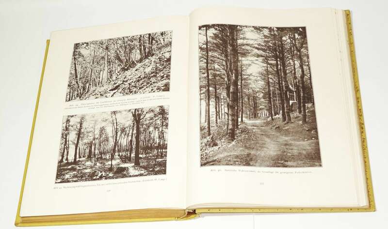 Gartengestaltung der Neuzeit von Willy Lange 1922 Garten Gärtner Landschaftsgestalter 