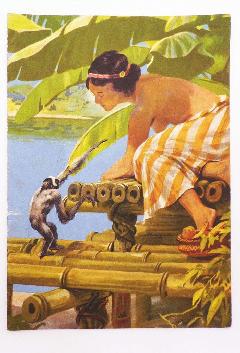 Tierpark Zeitung München Primaten September 1937 Franz Jung Ilsenheim