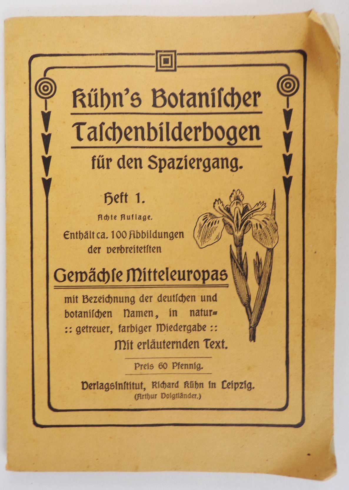 Kühns Botanischer Taschenbilderbogen Heft 1 Gewächse Mitteleuropas Kühns Botanischer Taschenbilderbogen Heft 1 Gewächse Mitteleuropas