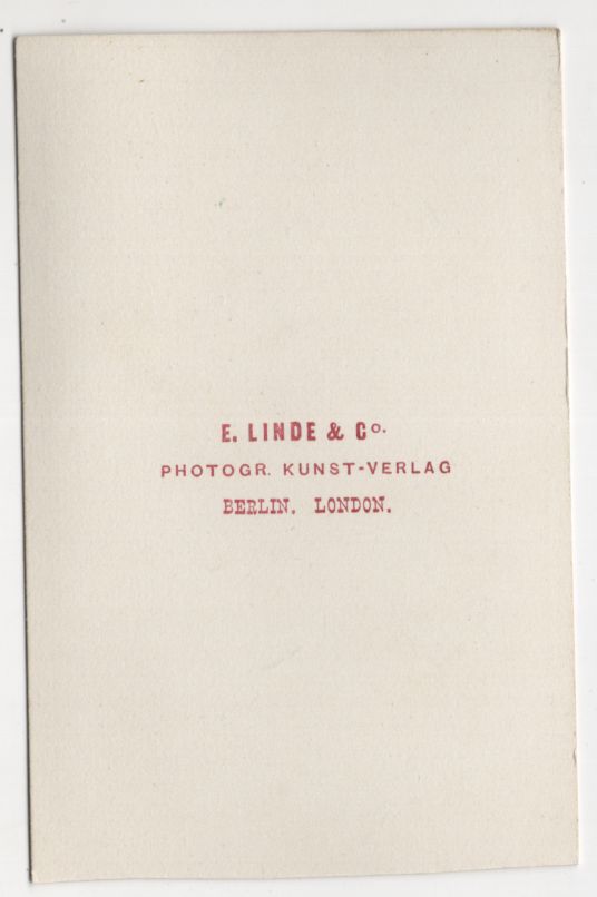 Altes CDV Foto große Glockenblume Pflanze Botanik 1880er Natolien