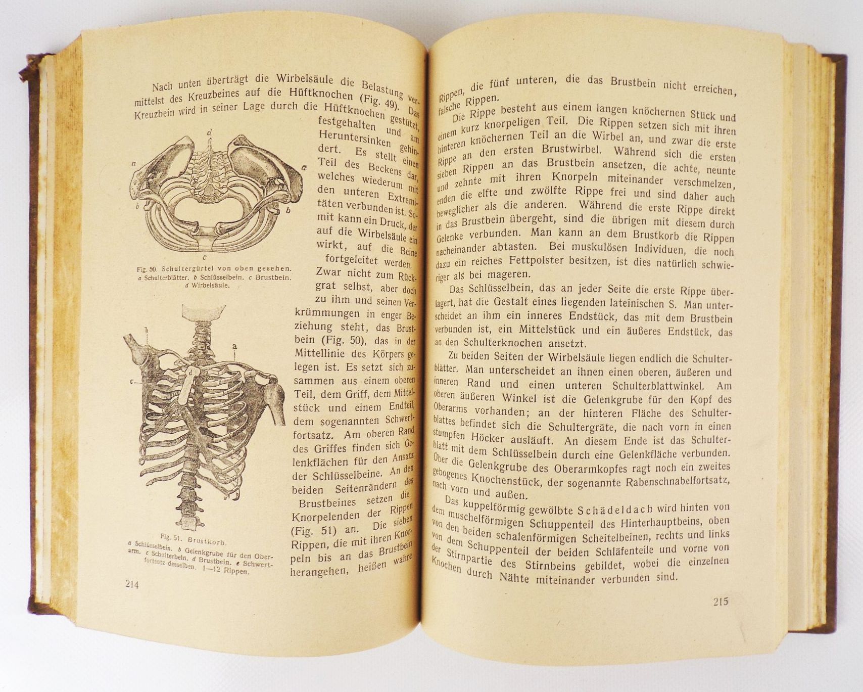 Elektro galvanische Heilkunde Ein Handbuch zur Selbstbehandlung 1924 Elektro galvanische Heilkunde Ein Handbuch zur Selbstbehandlung 1924