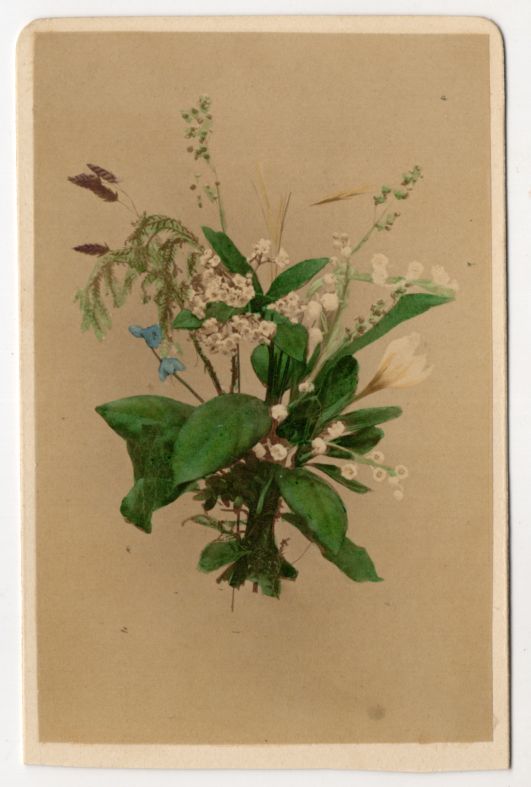 CdV Foto Maiglöckchen Krokus um 1880 koloriert Christmann Berlin 