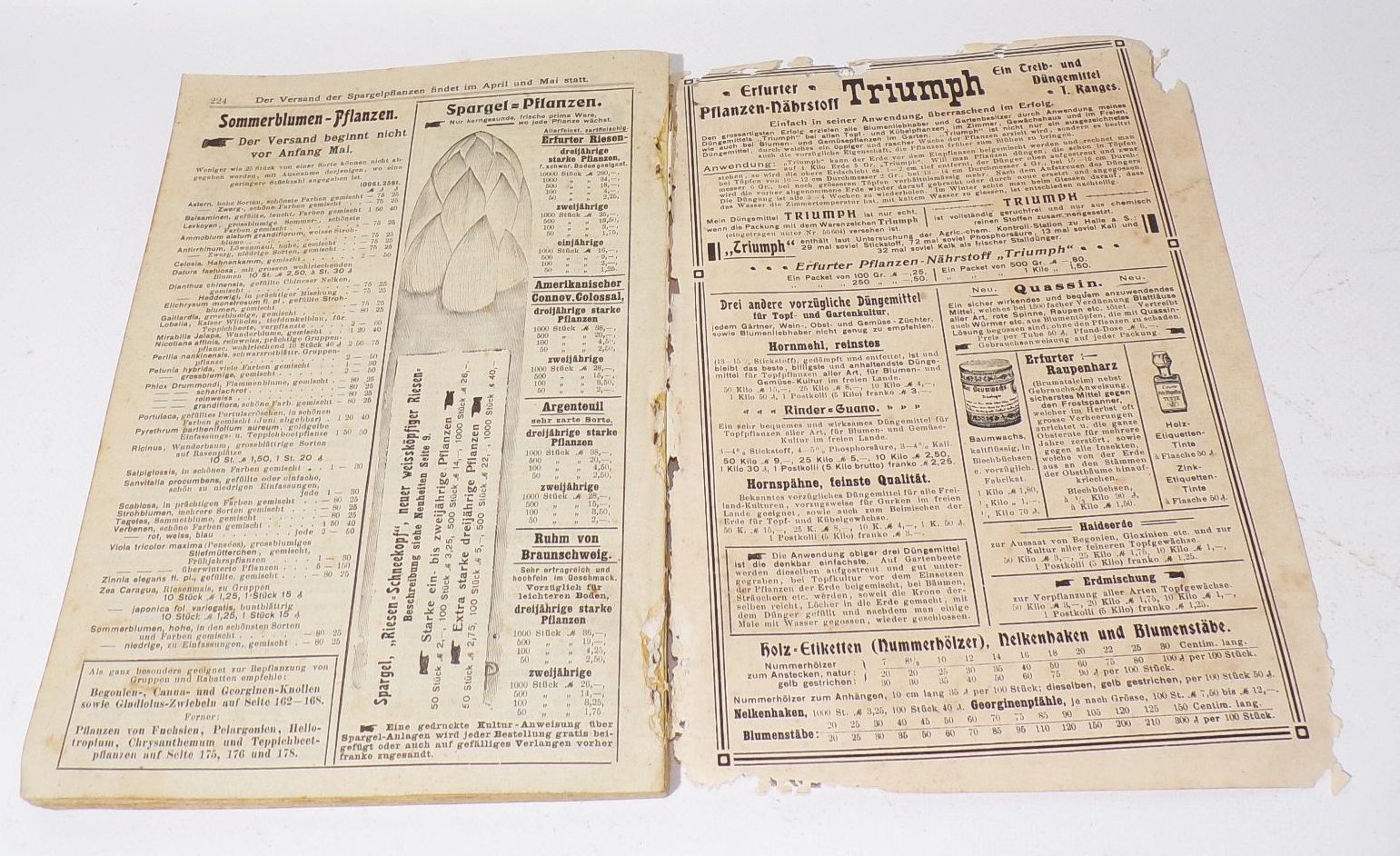 Katalog Carl Pabst Erfurt Blumen Gemüse Saatgut 1905 