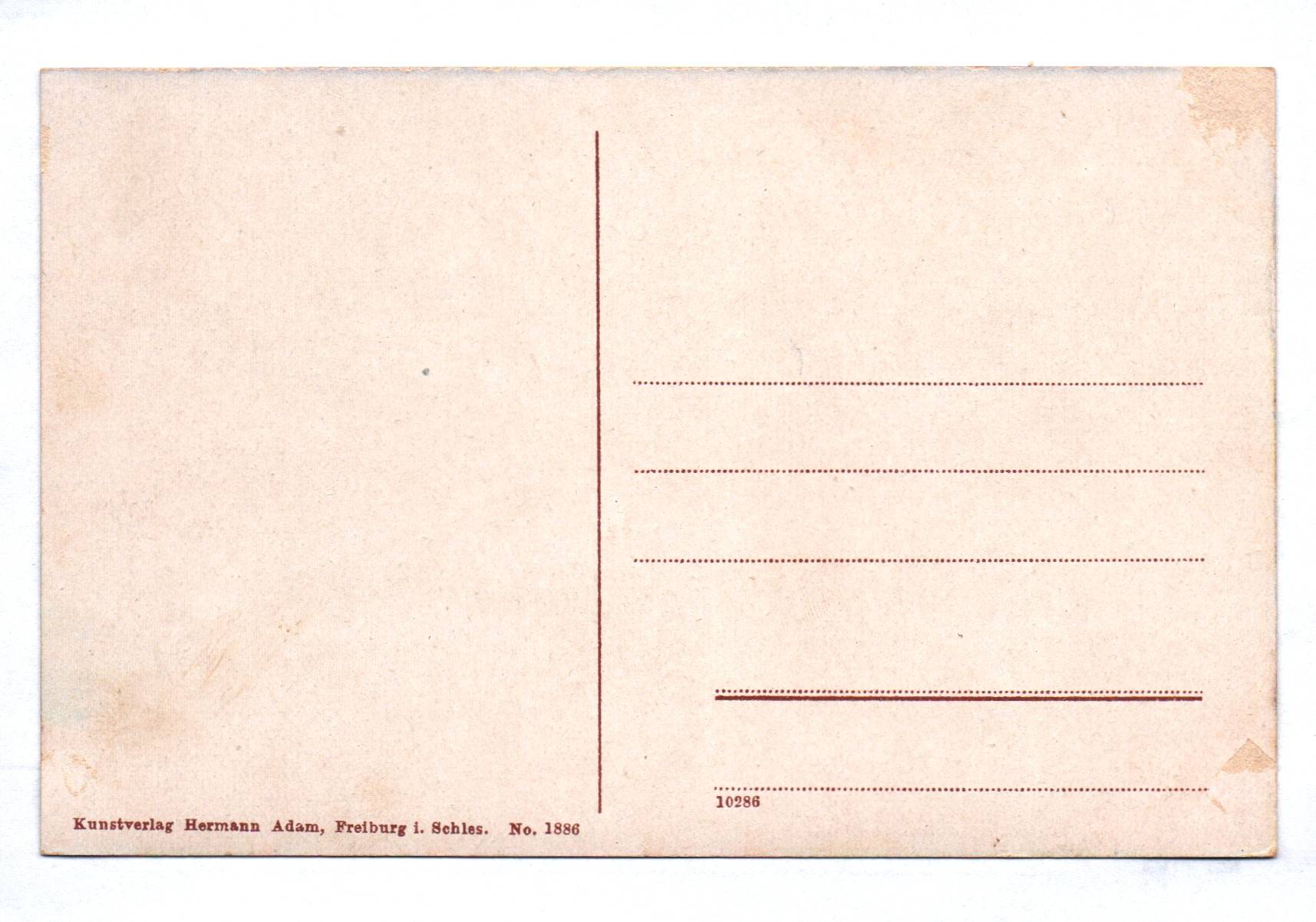 Ak Bad Charlottenbrunn Villen am Bellevue Wege 