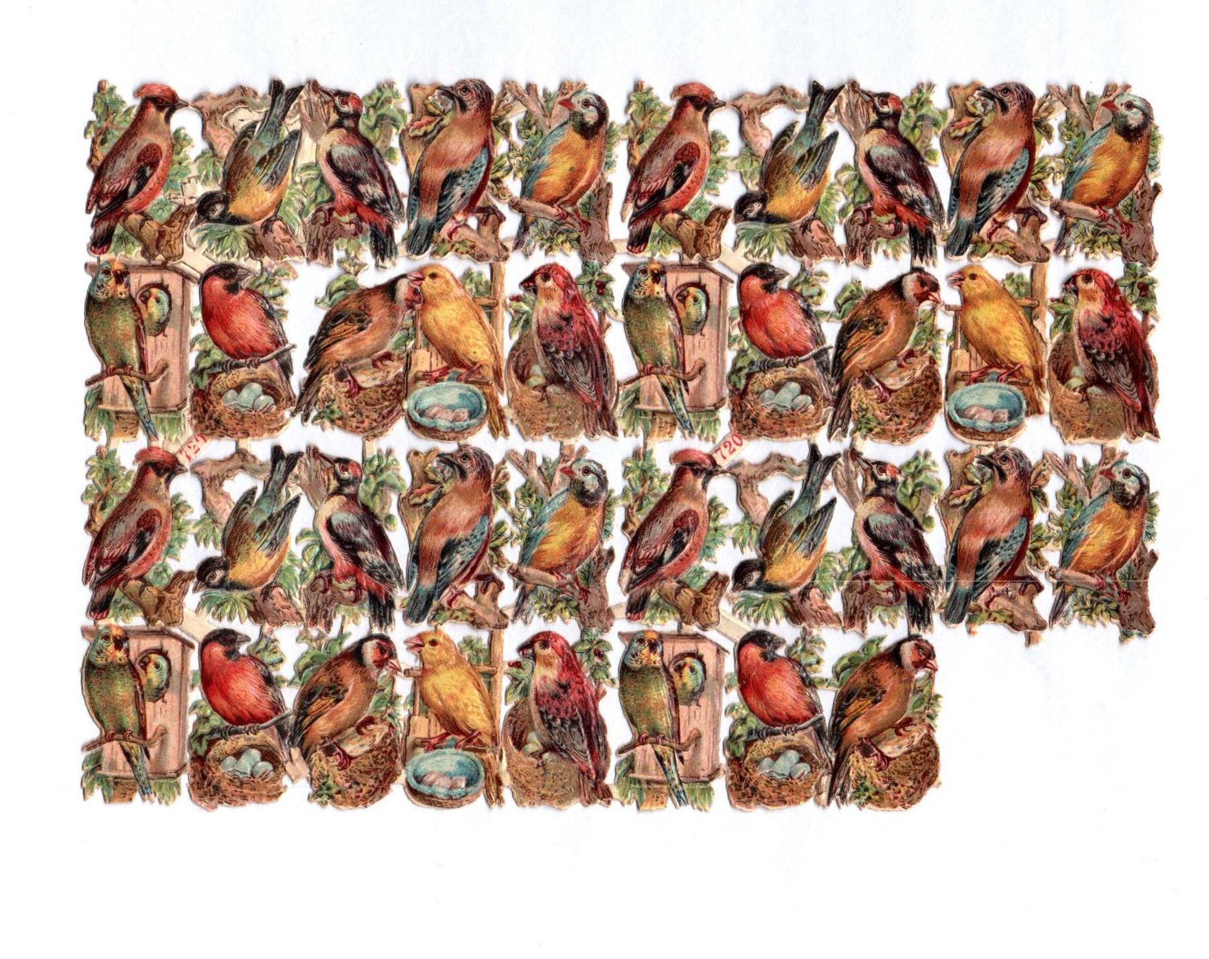 Alte Oblaten Bogenteile Vögel stark geprägt No 720 