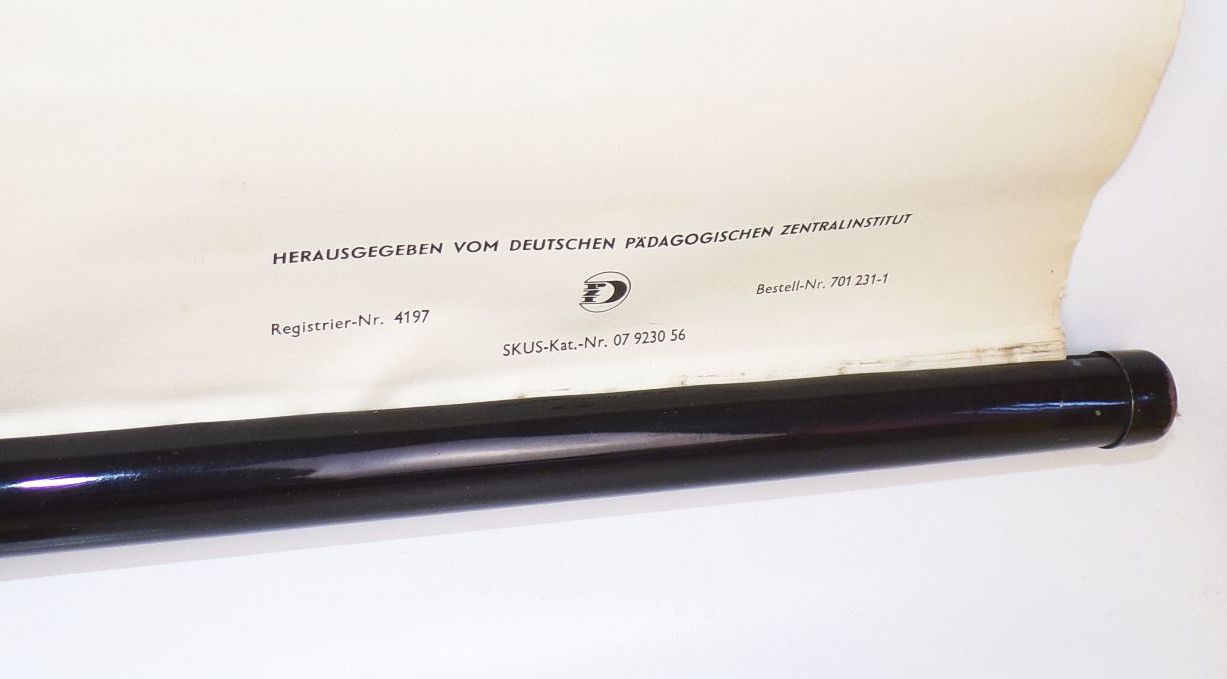 Alte Rollkarte Zellen Biologie Wandtafel Vintage Deko