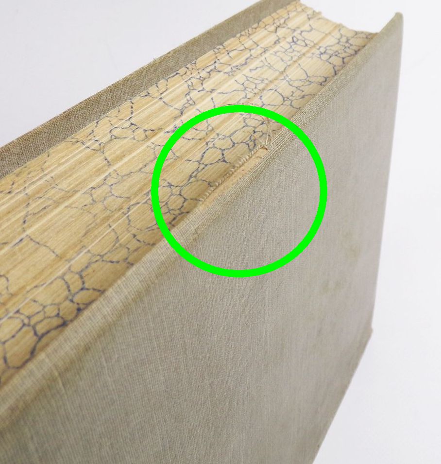 Geschlecht und Gesellschaft 2 Bände 1906 Karl Vanselow 