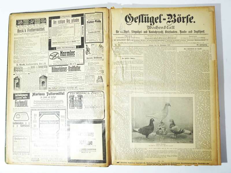 Geflügel Börse 1911 Tier Börse 1912 gebundene Zeitschrift Tierzucht 