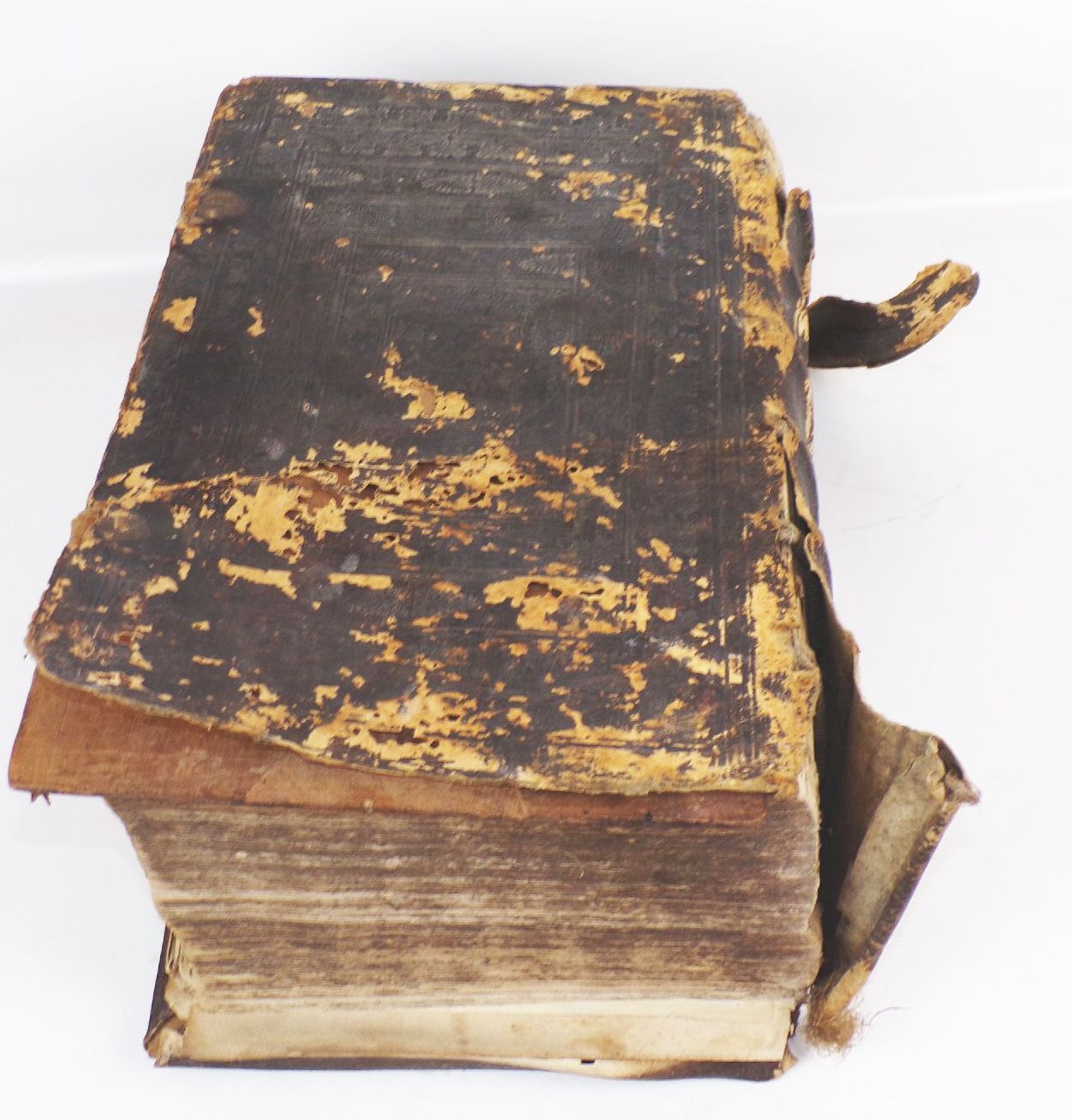 Bibel heilige Schrift Martin Luther 1703 Ledereinband 