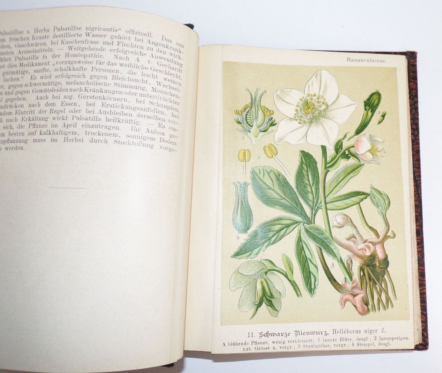 Unsere Heilpflanzen in Bild und Wort für jedermann Richard Schimpfky