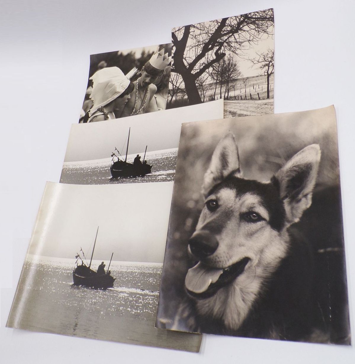 Konvolut Fotografien großformatig DDR Tiere Alltag Berufe Vintage Fotos Konvolut Fotografien großformatig DDR Tiere Alltag Berufe Vintage Fotos