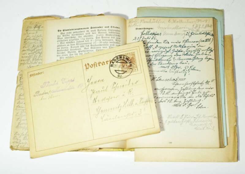 Konvolut Imker Literatur Bienen Kalender Unsere Honigbiene 1930er 