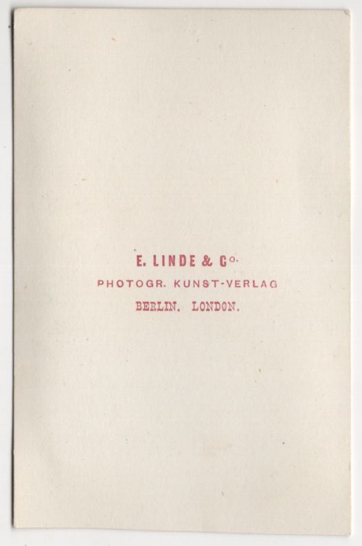 CdV Foto Schlüsselblume Sibirien Veilchen um 1880 koloriert Botanik Pflanzen Vintage CdV Foto Schlüsselblume Sibirien Veilchen um 1880 koloriert Botanik Pflanzen Vintage