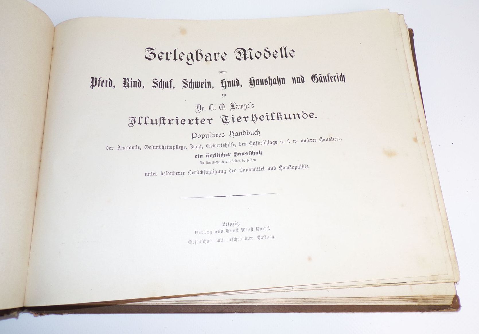 Zerlegbare Modelle zu Dr Lampe Tierheilkunde um 1900