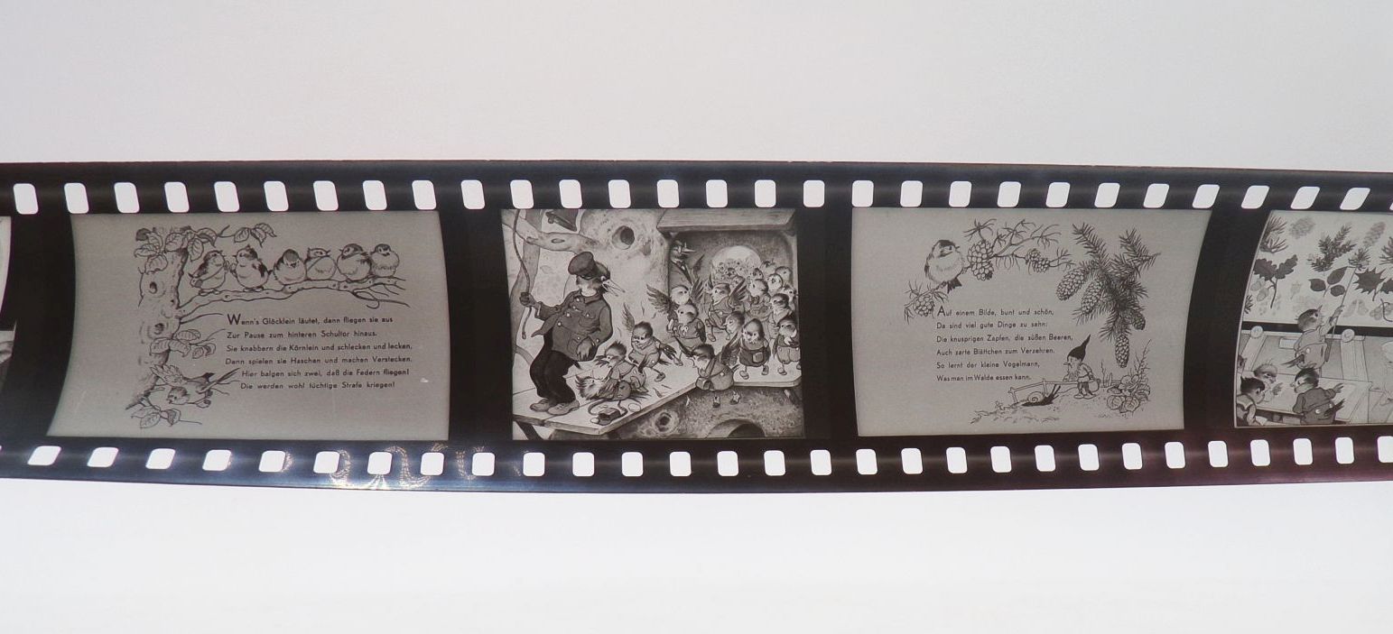 Alter Rollfilm Die Waldschule Fritz Baumgarten Diafilm 
