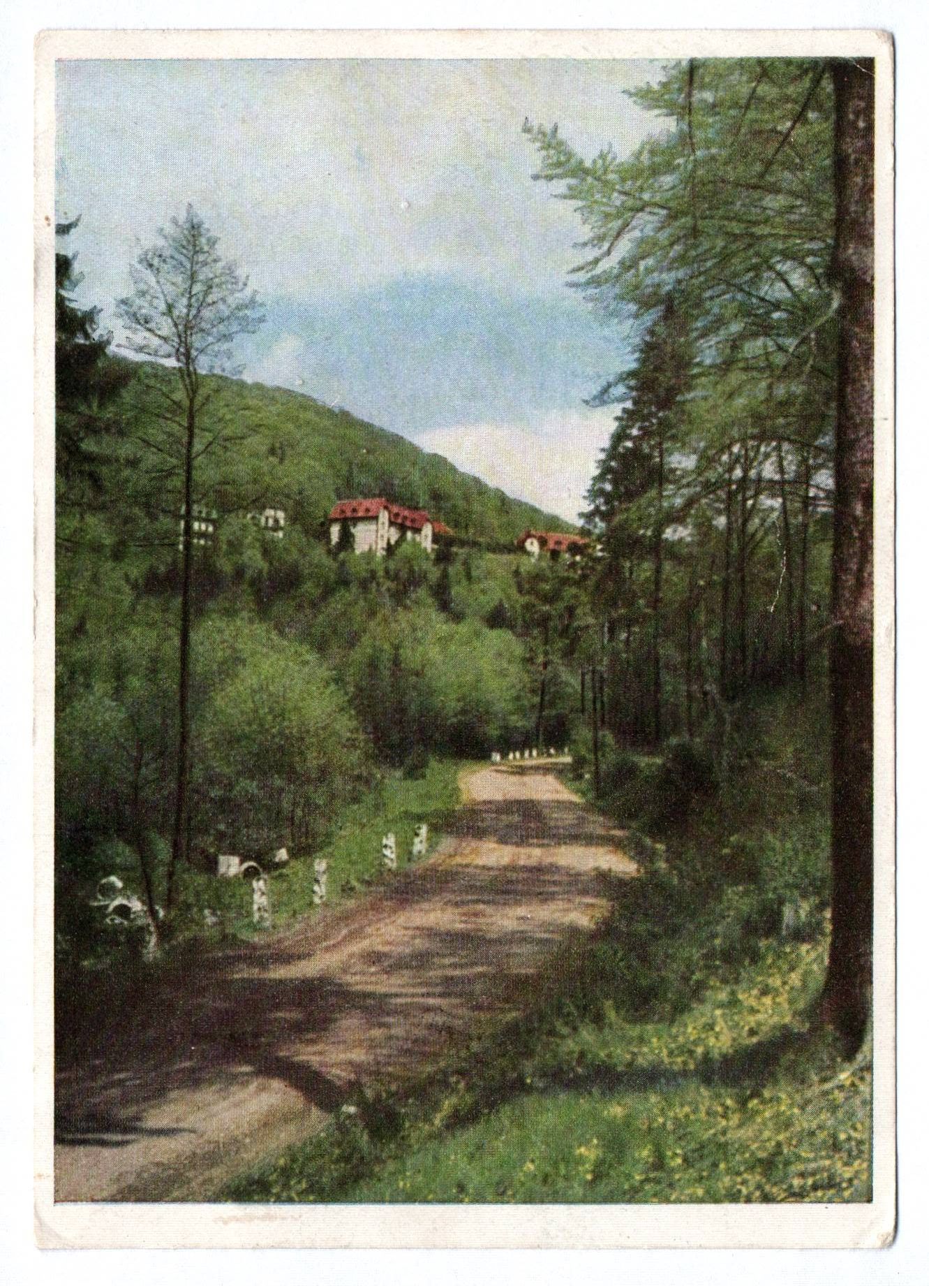 Ak Sülzhayn Südharz Heilstädte der Sozialversicherung 1954 DDR Ak Sülzhayn Südharz Heilstädte der Sozialversicherung 1954 DDR