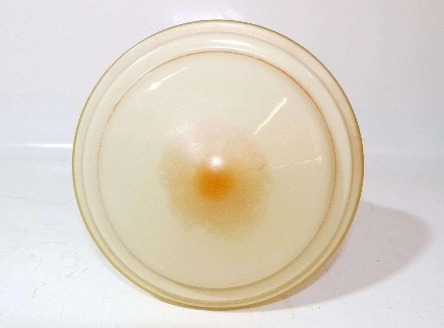 Glas Lampenschirm altes Lampenglas gelb Muster Blume Ersatzglas