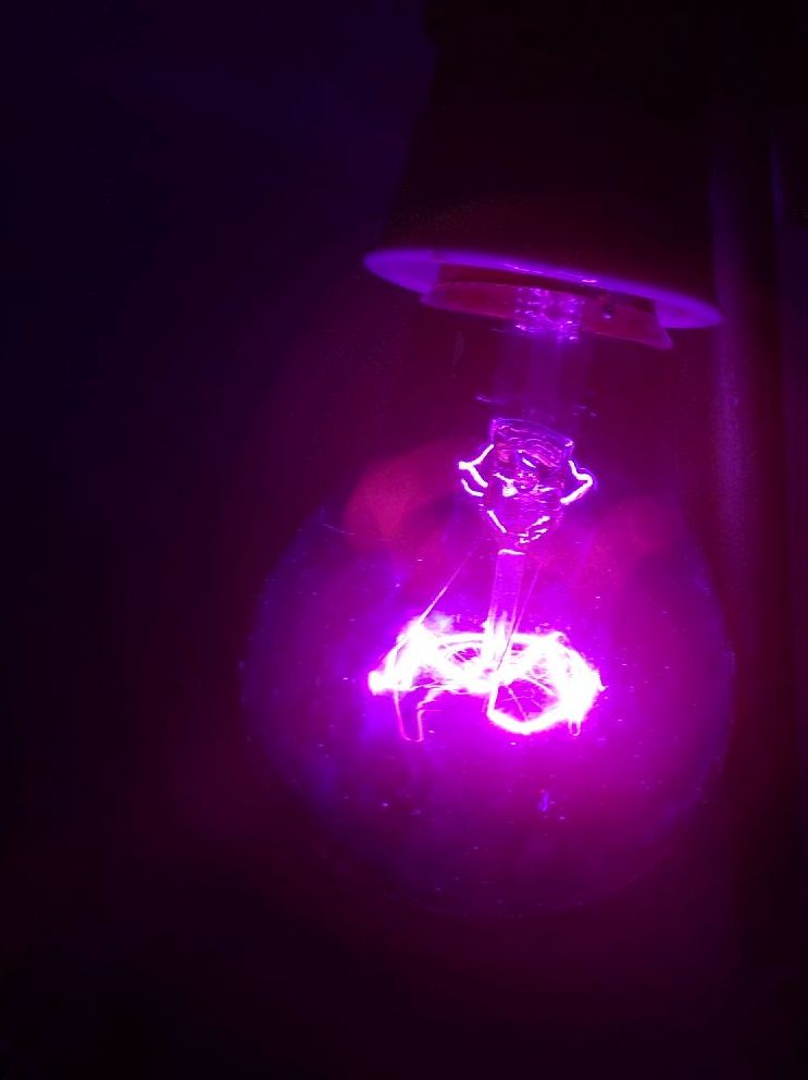 Alte BGW Glühlampe 220 V 75 W Blau Vintage DDR E27 Birne OVP Alte BGW Glühlampe 220 V 75 W Blau Vintage DDR E27 Birne OVP