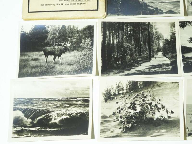 Kauffotos Rauschen und Umgebung Ostpreußen Serie 6 Fritz Krauskopf 1930er Foto