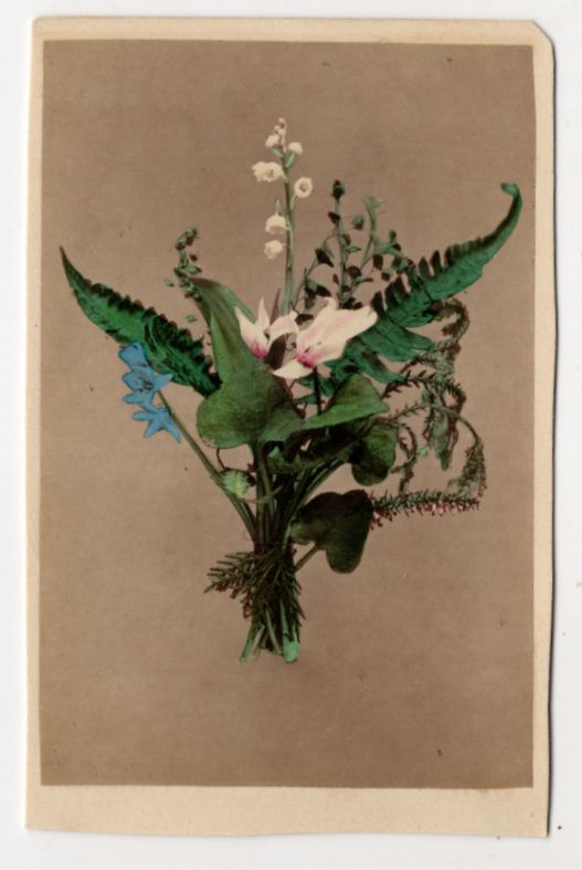 CdV Foto Maiglöckchen Alpenveilchen um 1880 koloriert Christmann Berlin